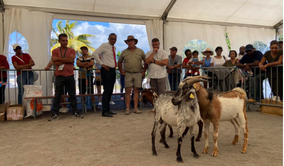 La Foire Agricole de Bras-Panon