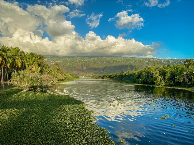 Ateliers et Immersions dans la Réserve Naturelle de l'Etang Saint-Paul