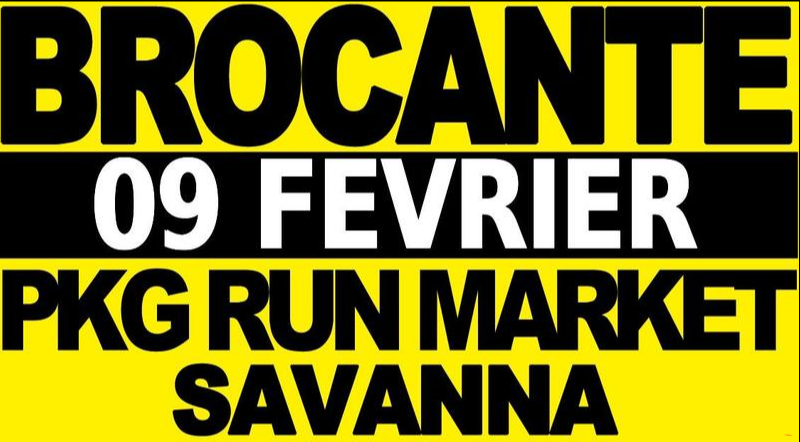 Brocante de Savanna 