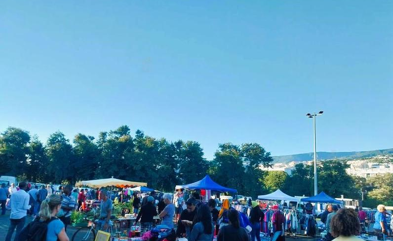 Brocante des Camélias